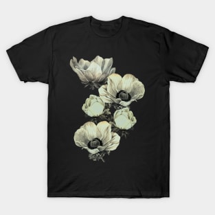 anemone flowers (transparent background) T-Shirt